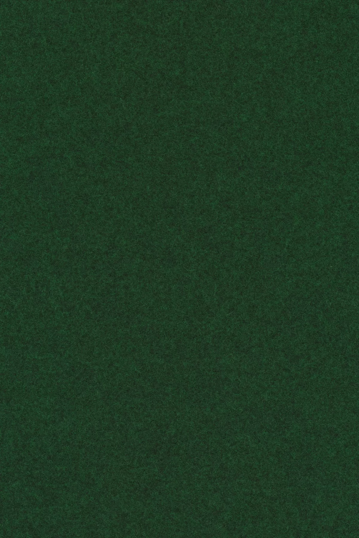 Divina melange 3, 977